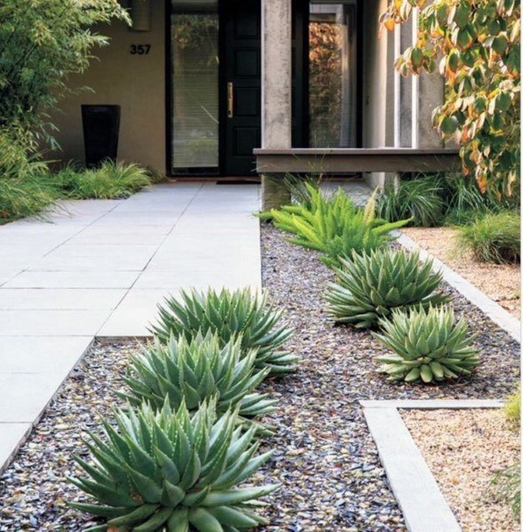 Desert Landscaping Ideas For Small Front Yards