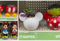 Dollar General Garden Decorations