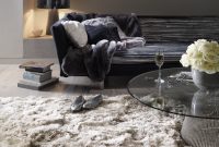 Plush Living Room Rugs