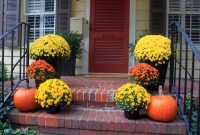 Mums For Fall Decorating