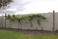 Backyard Grape Vine Trellis Designs