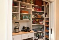 Kitchen Pantry Cabinet Ideas