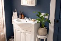 Blue Bathroom Paint