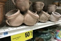 Rite Aid Garden Decor