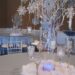 Winter Wonderland Decoration Ideas